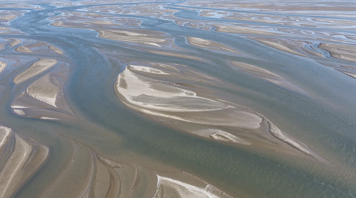 A broad river separating into blue braided channels around pale sediment islands